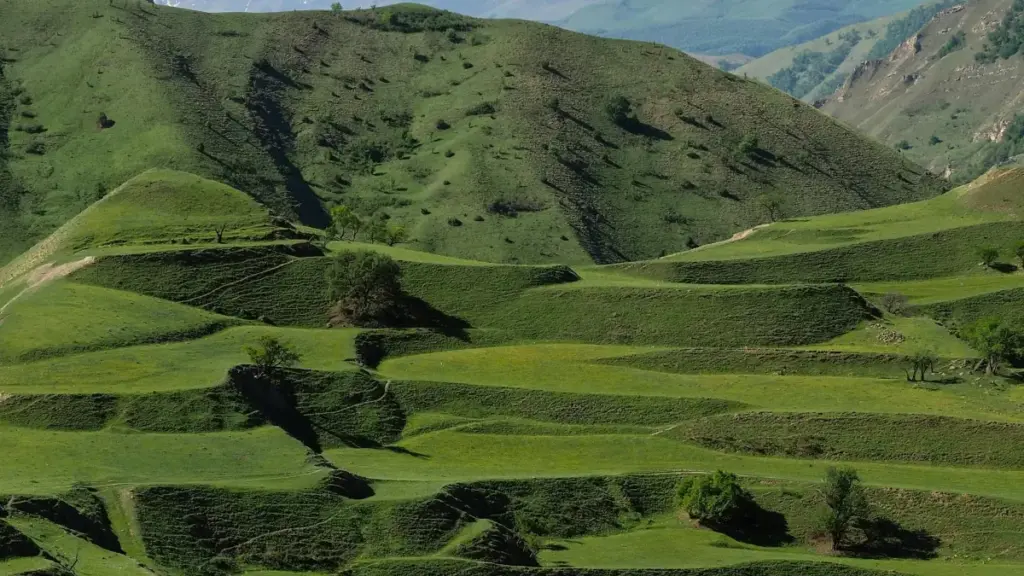 Ʋɔnudrɔɖoɖo ɖe Togo: kple strateɖiɖiɖi leɖeɖe eye wòtsɔ Georgia Disney+ creators ɖe nenema doɖola clean-beauty brands.