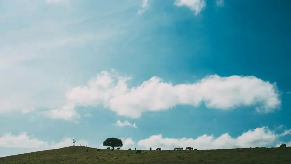 Méthode pratique pou advertisers au Togo pour repérer créateurs ivoiriens sur Etsy et lancer séries tuto dirigées par créateurs.