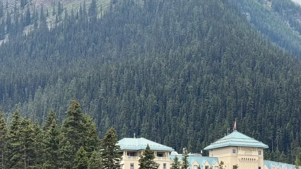 Nɔviɖeɖe le Togo: nuɖoɖoɖo kple strategies ɖe laos eBay creatorsɖe me, nu vɔ̃ƒeɖewo le outreach, vetting, kple cross‑border logistics.