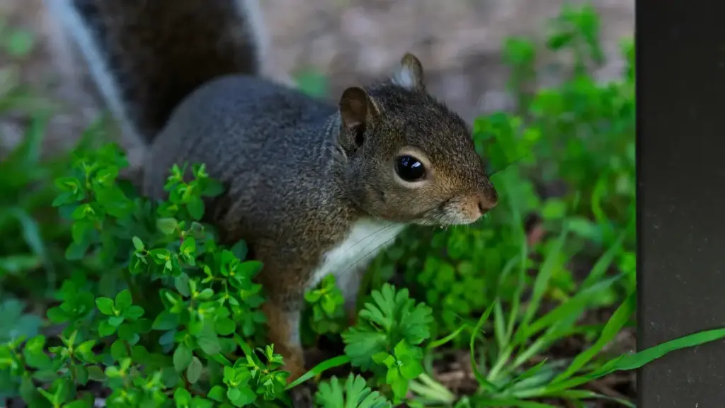 "Agbale gake miafɔ: nyateƒe ɖe Togo leɖo ƒe brands kple marketers eye wòle Myanmar Twitch creators ɖe makeup tutorial gbeɖeɖe."