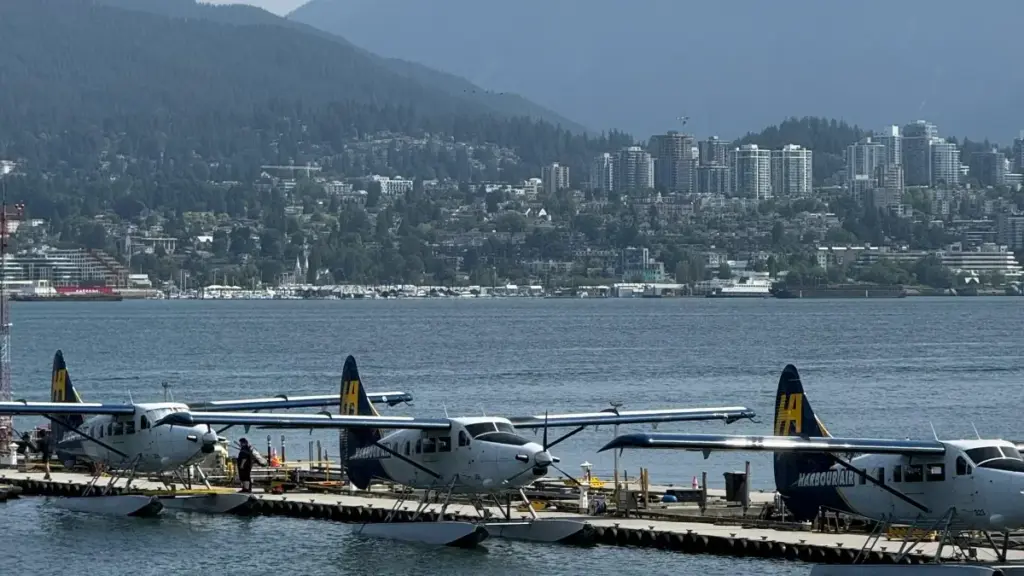 "Gblɔ na wòɖeɖe: nu kple ŋkekeŋuɖoɖo leƒe beɖeɖe ɖe Norway Telegram creators eye wòtsɔ e-learning kpekpe."