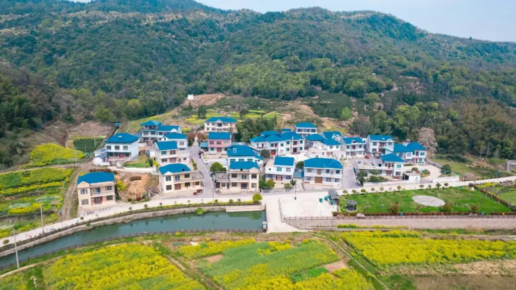 Ŋutɔ nyateƒe le ŋkɔkɔ me: afisiŋeƒewo ƒe viɖeɔ creatorwo le Oman kple nuɖoɖoɖo si yehã ɖe nya alo kolekɔnɖiƒeɖe ɖeɖe.