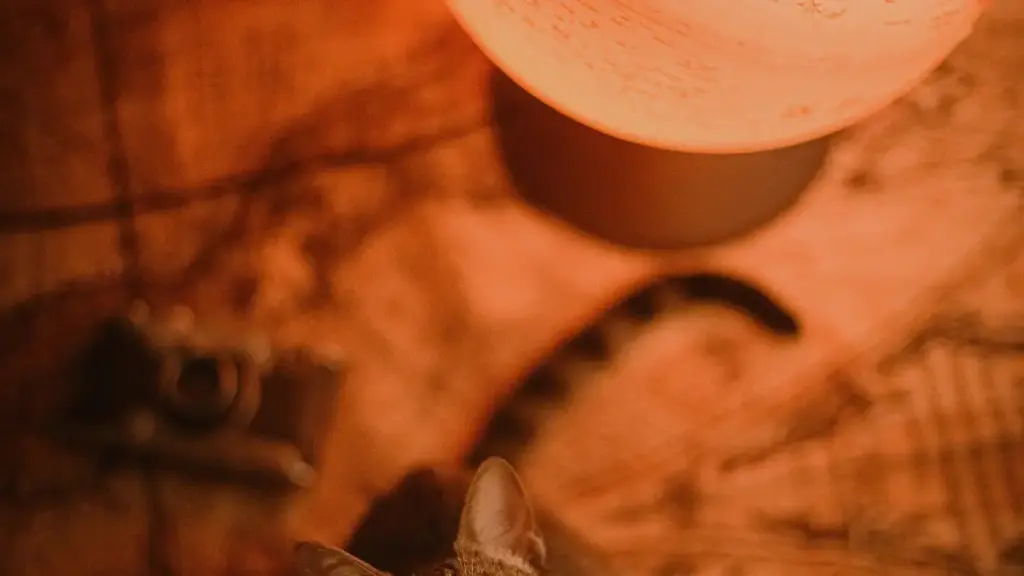 "Gayiɖaɖaƒe le Discord: neŋlɔ Romania creators kple kɔkɔeɖe meɖe ɖe global markets na wo brand."