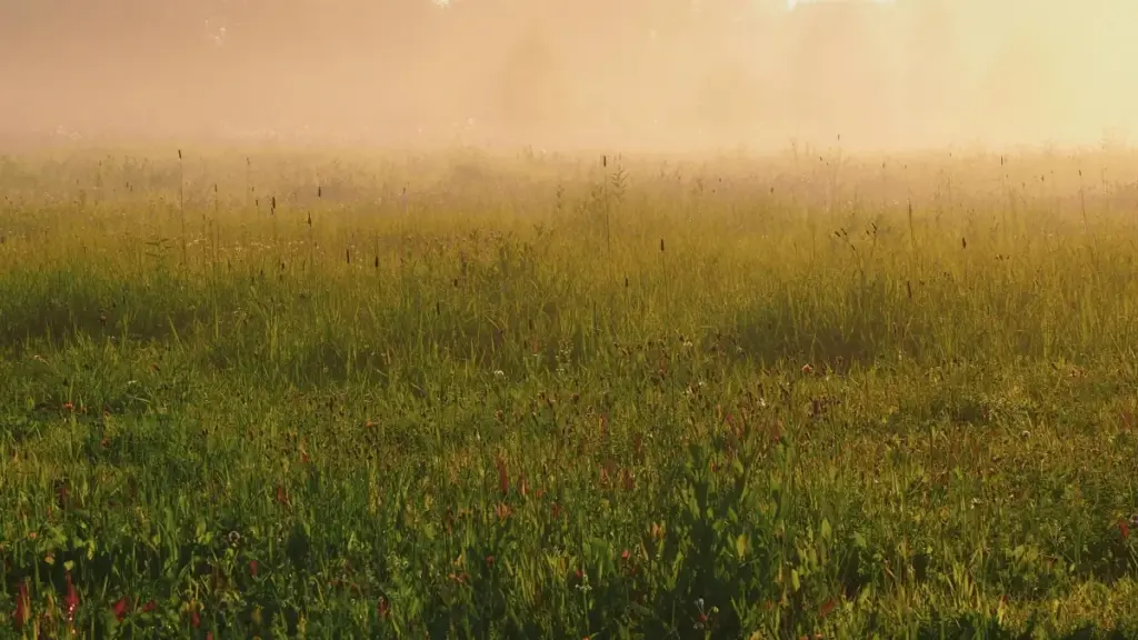 Nudzra gbɔgblɔwo kple advertiser le Togo: nyateƒeɖea kple dɔwɔlaɖe ɖe beɖe la, eye nuɖuɖuɖe ɖe UK Spotify creators kple mid‑tier partners le 2025.