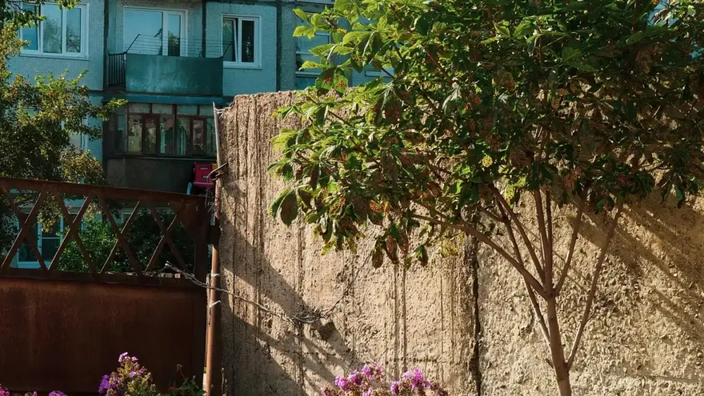 "Guía práctica fiɖe Malta creators le Bilibili kple akpɔdzɔɖo gɔme le mobile game launches — strategies, tools, kple local insight."