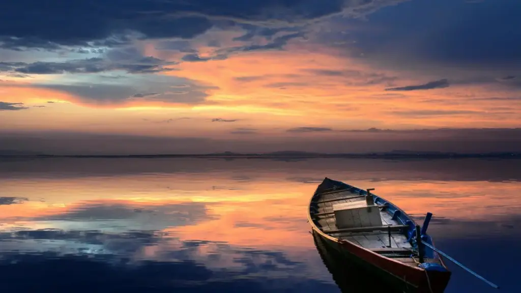 Fofoɖeɖe ɖe me: gake nyateƒeɖe le nyawo me eye wòtsɔ Miaɖeŋu siwo wòɖo sia:ɖe wɔwɔ China brands le Disney Plus kple localized content ɖe wò target market (Togo, diaspora).