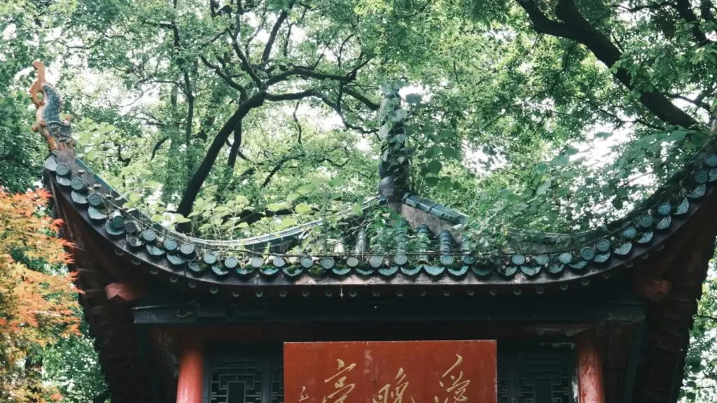 Nuɖuɖo le Togo: eye wòle Telegram ɖe aloɖe China brand siwo wòle brand-ambassador programɖa? Míɖe wòɖoɖaɖa, dabarawo kple tɔxɛwo ɖe siaɖe.