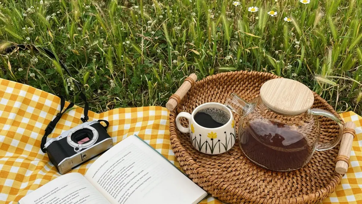 Togo creators: Reach Hungary brands on Instagram