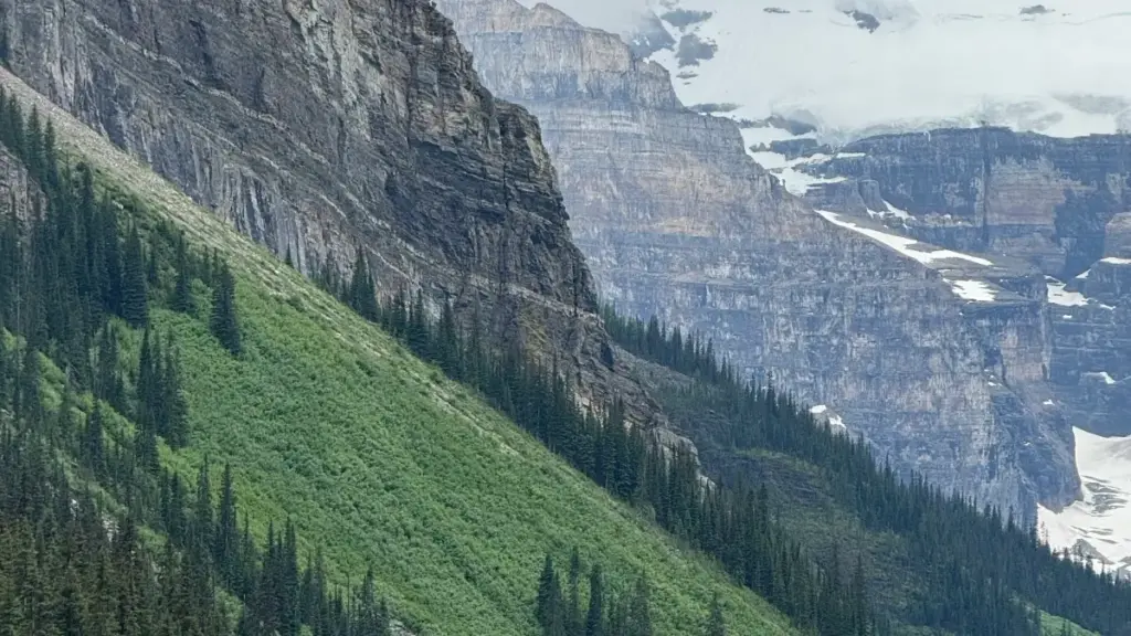 Aɖeɖe gbeɖeɖe: nɔviwo kple creators le Togo yɔ Lebanon brands le Discord ene eye wòƒe review plan mɔƒe.