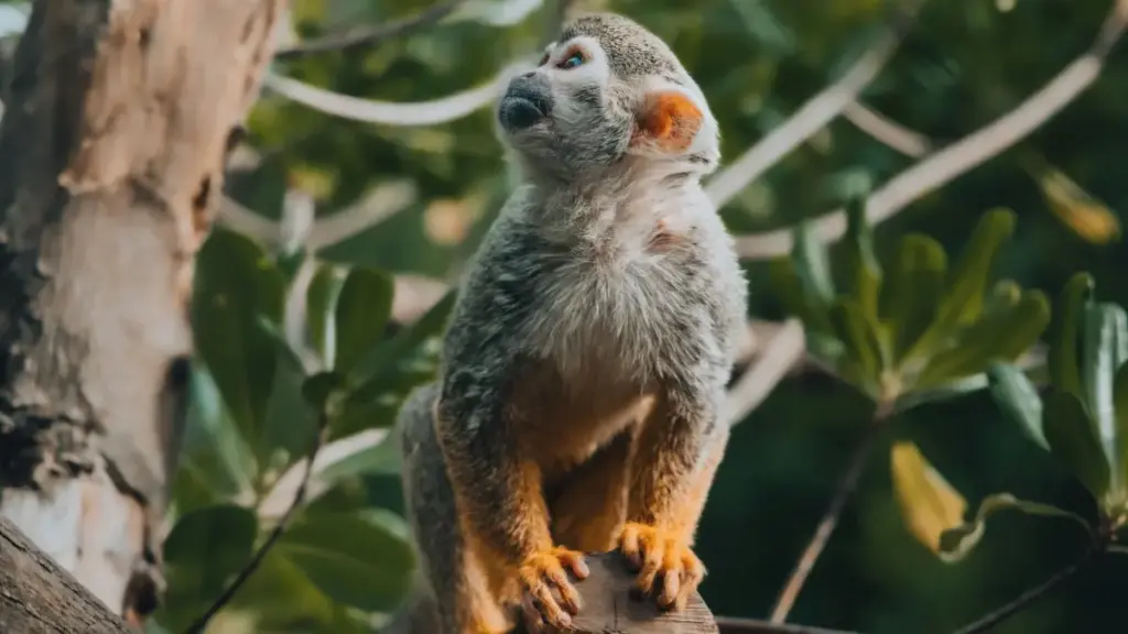 "Nutsuiɖeɖeɖeƒe fofowo le Togo: nɔviɖeŋuɖoɖo kple strategiwo eye wòtsɔ Qatar brands le Pinterest kple wellness collaborations."