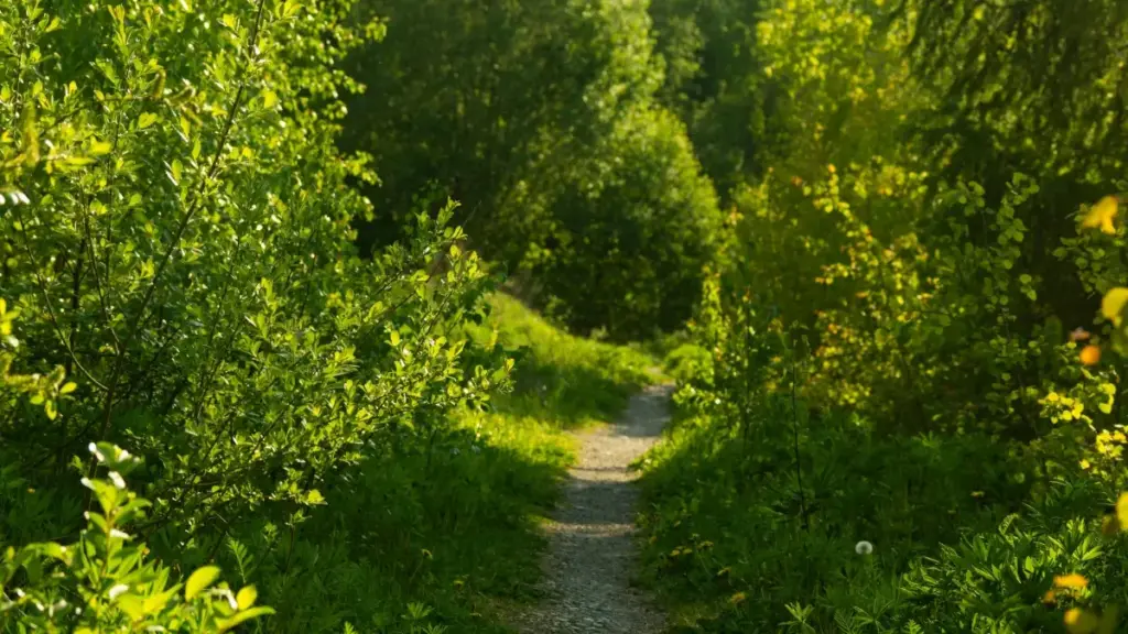 Ʋe nye dɔwɔwɔɖeɖe me: agbaleɖeɖe ɖe Turkey brands le WhatsApp kple how-to steps kple local tips me, eye wòtsɔ fitness equipment review viɖeɖe.