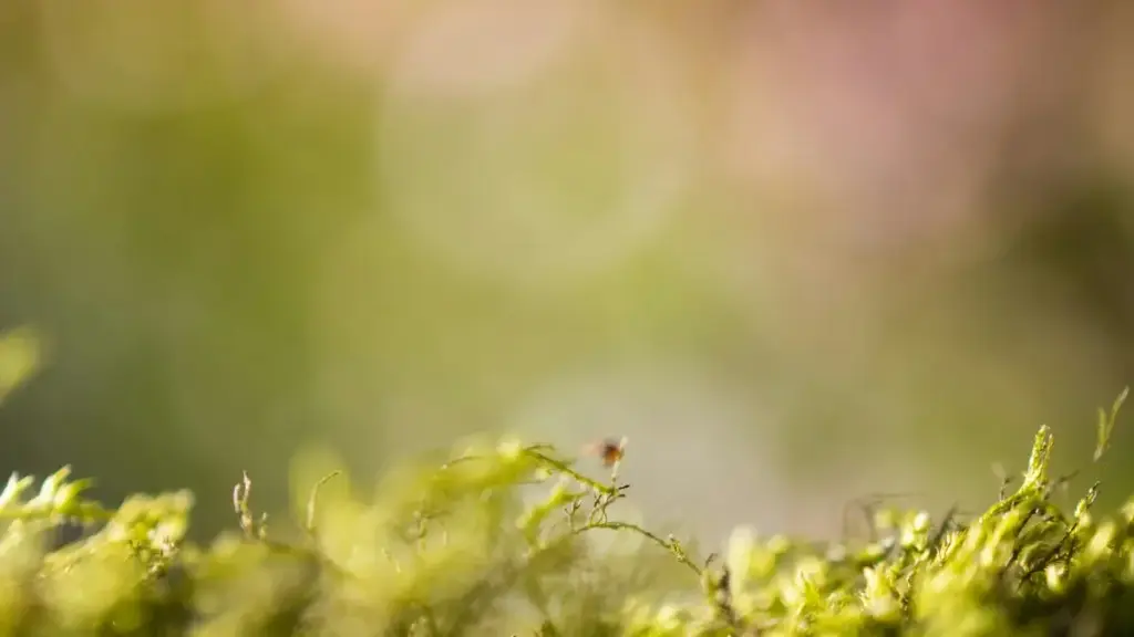 Step-by-step tips for Togolese creators to connect with Canadian brands on Clubhouse and highlight must-have products effectively.