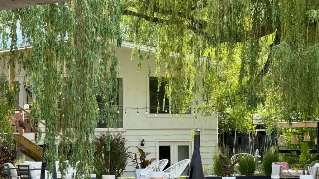 "Eƒe nyaɖeɖeɖe le Togo: ŋutsuɖoɖo le reddit kple Uruguay brands alo wòle review trending products—nyateƒe, amedzro, kple tɔgbuiɖeɖe."