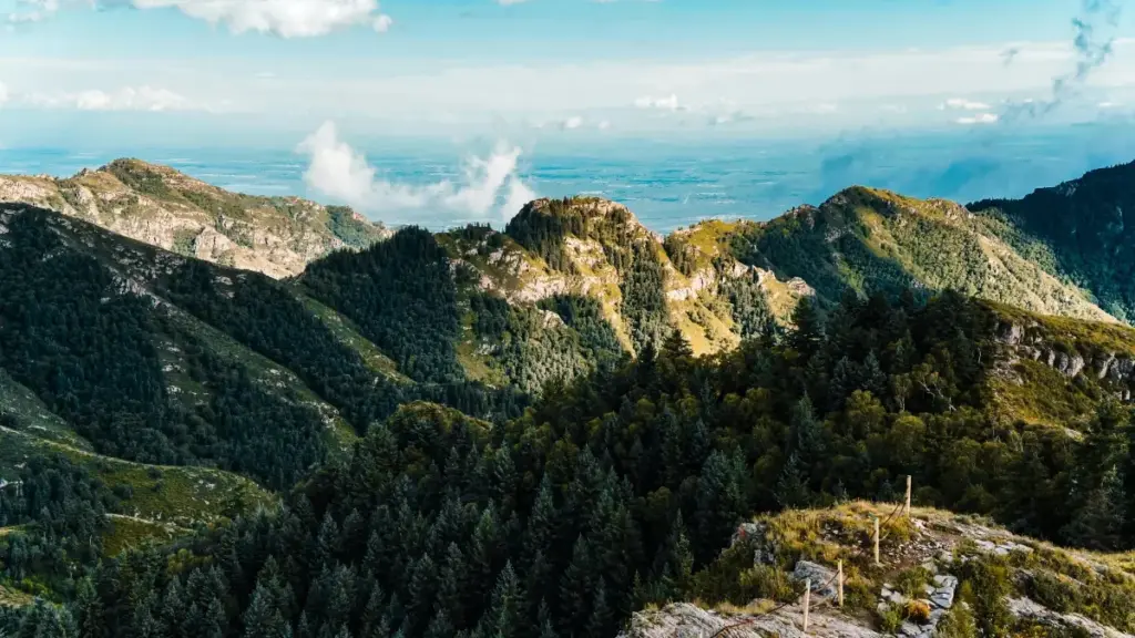 Guide pragmatique pou créateurs au Togo: comment taper dans l’œil des marques argentines sur WeChat et monter des partenariats avec éditeurs de jeux.