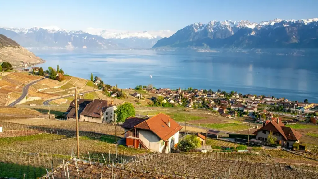 Nyaɖeɖe le wò ƒe marketing: ŋutsuɖe New Zealand Twitter creators eye woɖe traffic le wò fitness app me. Akpe na xoxoɖoɖo kple tips gaglo.