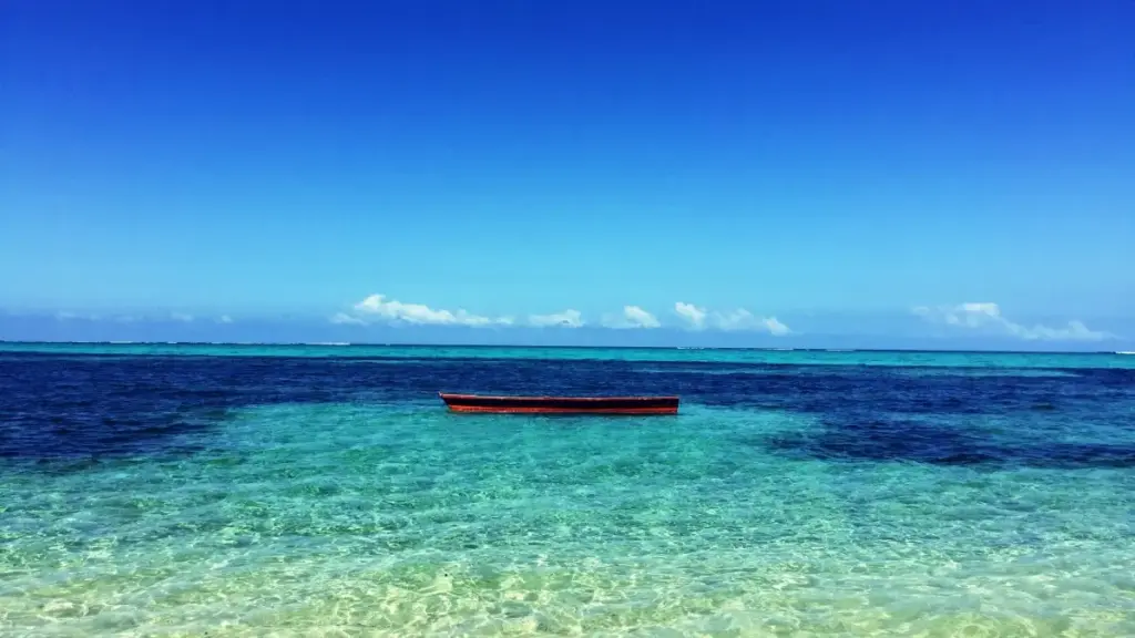 Nunyaŋlɔ̃ le Togo gbeɖe: dɔwɔɖo le vi Romania Moj creators kple affiliate marketing. Ŋutsuɖeɖe, nyateƒeɖe, kple kpekpeɖe viɖeɖe me.