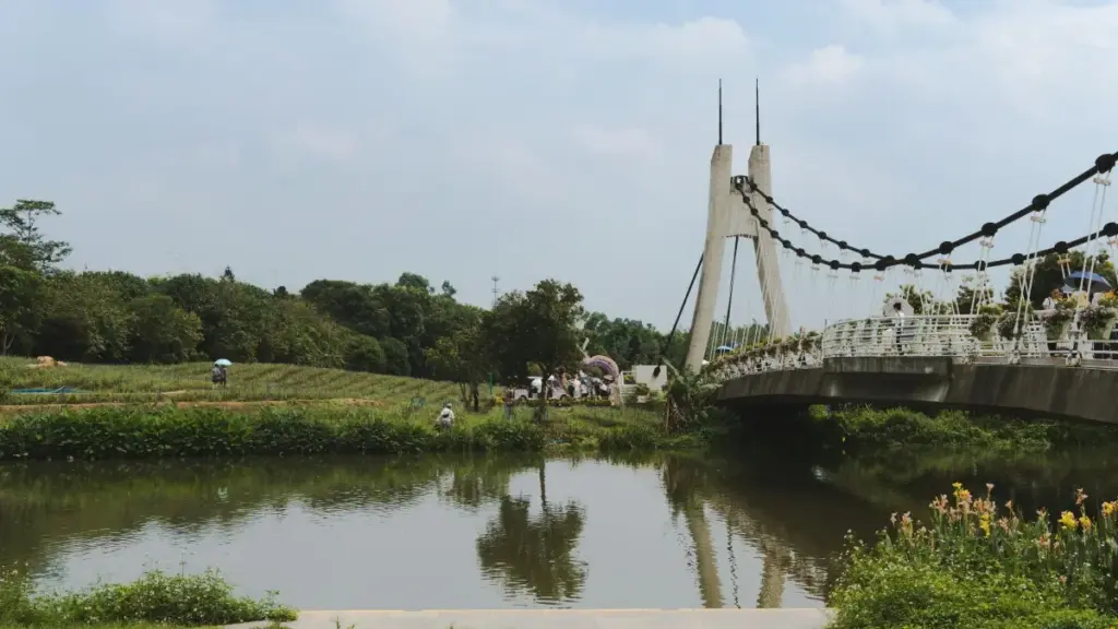 Tsɔɖo le nɔviwo kple marketeurs le Togo: dɔwɔŋuɖoɖoɖo le etsytɔwo Iranɖe, kplɔ kpekpeɖe meɖeɖe ɖe product launch.