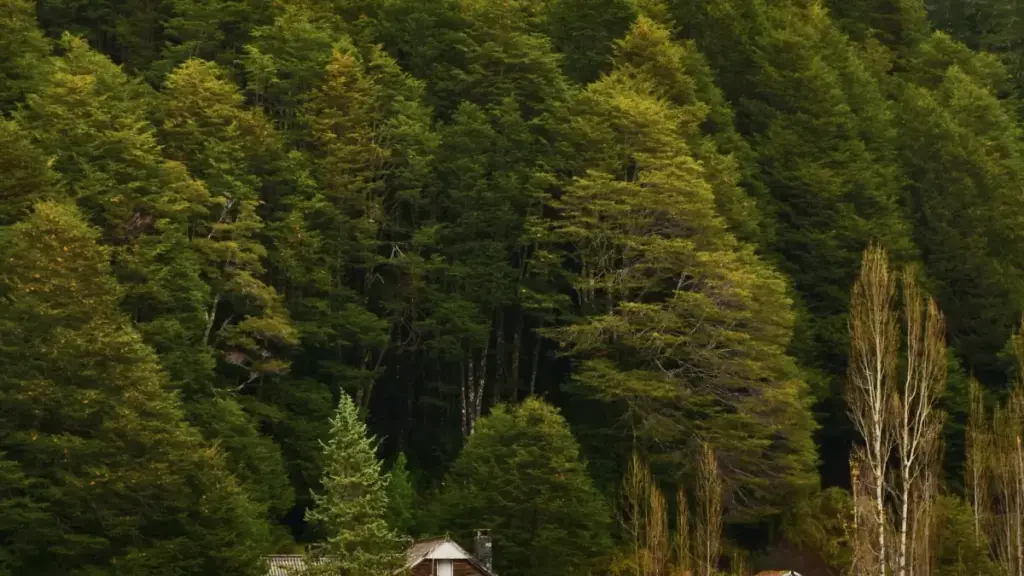 Nuɖuɖuɖu kple gblɔɖiɖiƒe: nu siawo le be yewoɖu Tanzania brand le WeChat kple manya limited-time discount codes. Tips, channel, kple risk wɔm.