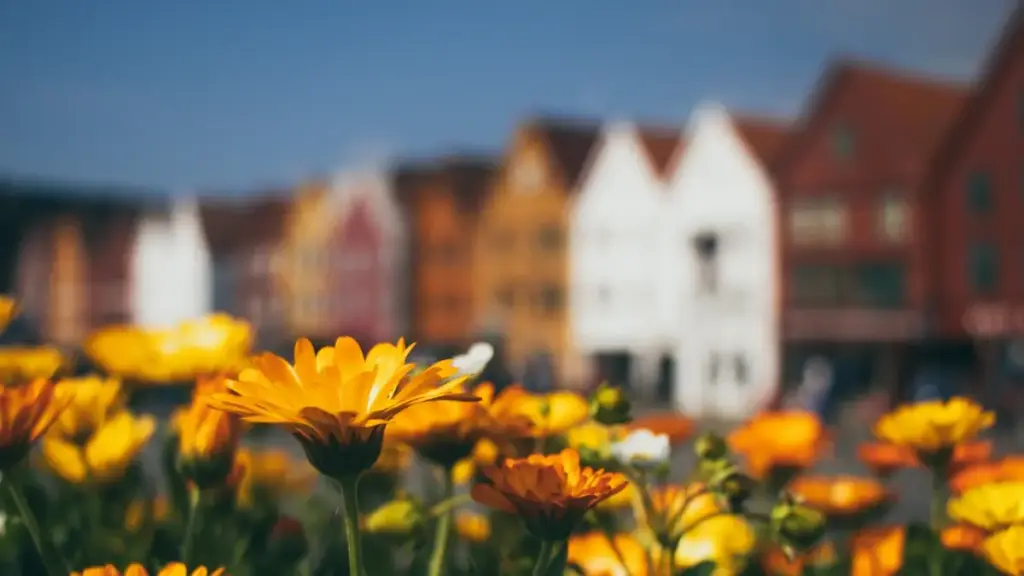 Nuɖuɖoɖo le laos vkontakte creators kple tɔxɛwo be wòɖo ɖe online store sales — tips, kɔntakt strategies, risk management kple MaTitie VPN suɖɔla.