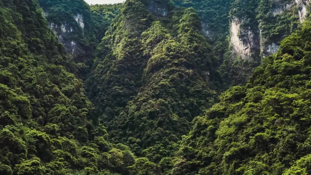 "Fèyɛ agbeɖeɖe wo le Etsy alo social media, tsɔ China brands kple gbeɖe styling challenges — tɔgbui tips le Togo."