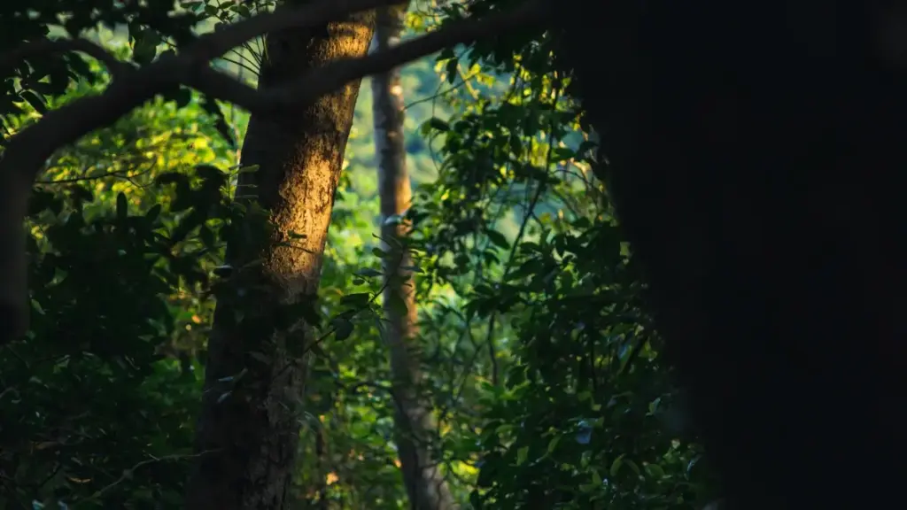 Nɔviɖe ɖeɖe ƒe gbedodɔla le WeChat kple Malaysia brandwo me, si wòle xɔe wardrobe haul videos; miaɖe dzidzɔ, taktiki kple vpn tips.