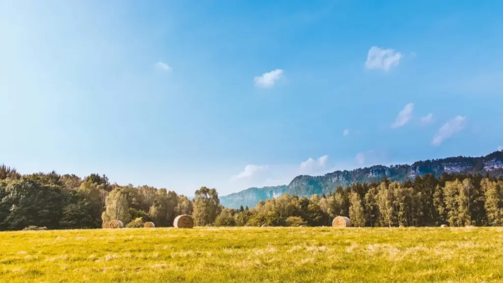Guide pratique en éwé pour créateurs au Togo : tactiques réelles pour contacter marques cambodgiennes sur Clubhouse et gagner audience nouvelle.