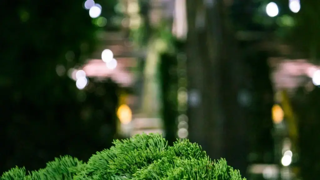 Gibé nyuie: akpé! Agblɔ be woƒe bizness le Togo alo West Africa, wòle maflɔ ɖe wòfomeviɖe le Morocco Instagram creators la kple seasonal sales. Aɖe sia meɖe asi míawɔ nuɖuɖu kple steps teƒe.