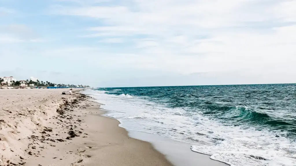 Nuɖuɖuɖuɖuɖuɖ: Adεɖeaɖe si wòle be wòɖe Ecuador Spotify creators le event vlog la gɔme, afɔɖe ke wòɖe ɖe Togo kple West Africa creators.
