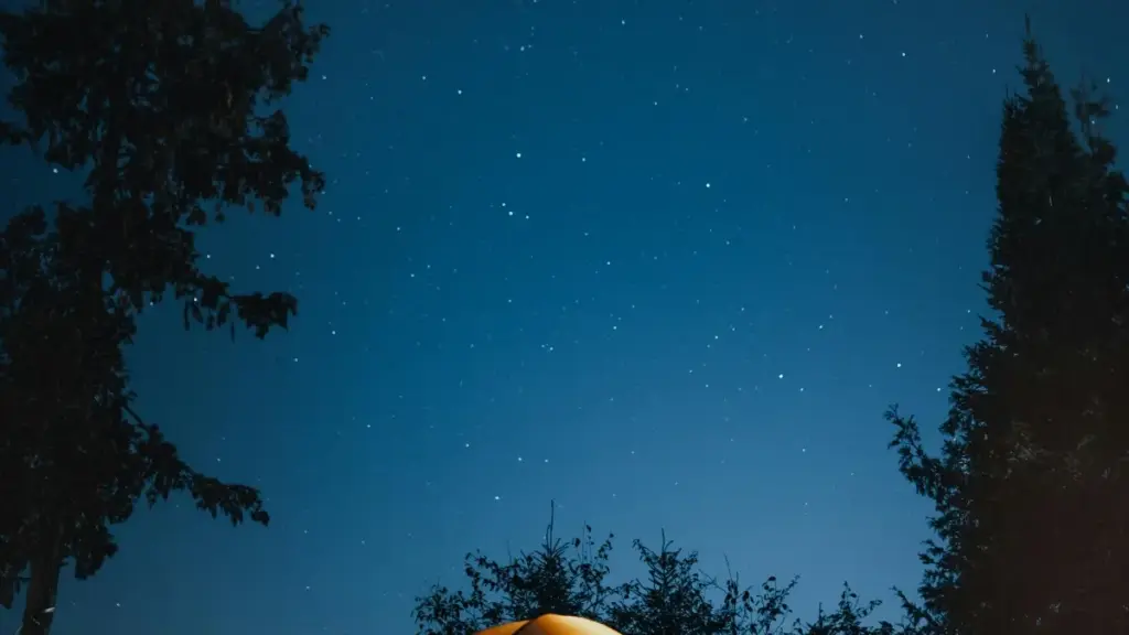 Dziɖuɖoɖoɖoɖeɖeɖe: Adɔɖoɖeɖe gbeɖe le Switzerland Roposo creators megblɔ seasonal sales — méthodes, tools, kple tɔgbeɖe.