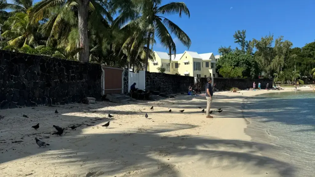 Guide pratik pou anonsè nan Togo: kijɛ wafi jwenn kreyatè WhatsApp an Bèljik pou montre trends sezonye nan moda.