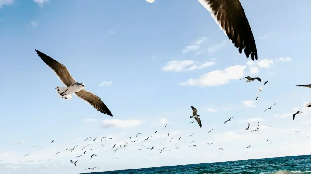 Nɔviɖeɖeɖe si wòɖe agbɔ Lebanon brands na Apple Music kple tourism boards, dzidziɖa nu si wòle mɔ nudɔla, PR, kple platform tactics.