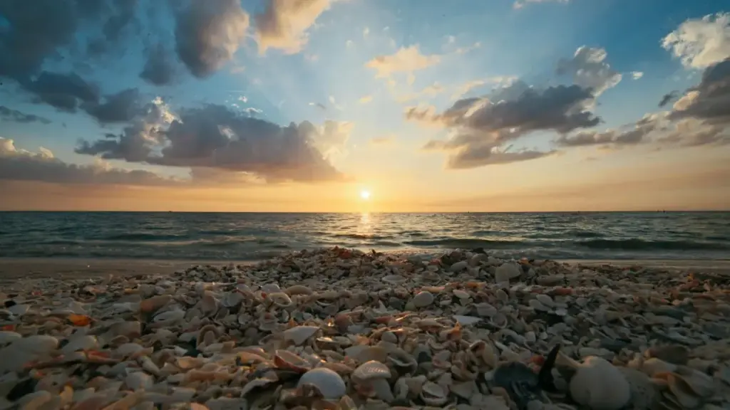 Nɔviaɖe ɖe Viber meɖe Sri Lanka brandwo ɖe beta launchɖe siwo leɖeɖe — strategi, agbalẽwo kple risks, kple maŋlɔɖe ɖe Togo creators.