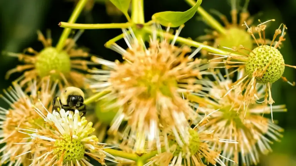 Lɛ wòɖe xɔsetɔwo le ShareChat ƒe Koria du la, míate ŋu wòlẽ na wò yɔnyɔnu kple dɔwɔwɔƒe nyateƒeŋu la, atsɔ dziwo kple adzɔgbeɖeɖe le 2025-12-08.