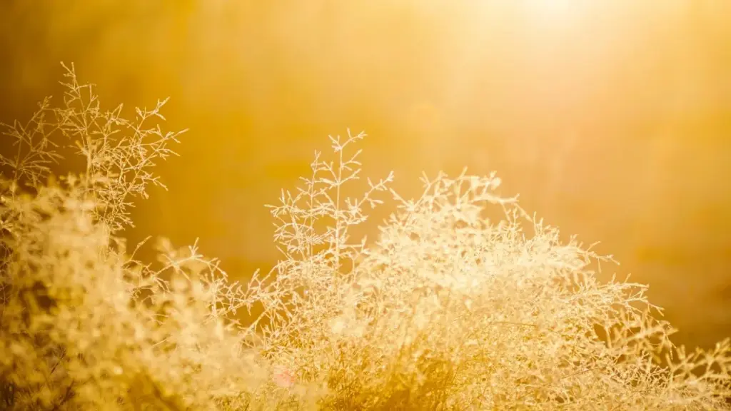 Haɖe nyateƒe le Togo kple adzɔgbeƒeɖe: etsiɖoɖoa Hungary Spotify creators meɖe makeup tutorial la, strategie, kple tools ɖeɖeɖe ɖe wòɖe xɔŋlɔ.