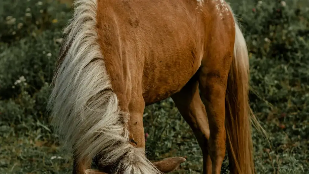 Nye dzraɖaɖaɖe le daɖaɖawo me: etsiɖe nye lɔlɔ̃awo ƒe strategies kple risks ɖe Latvia brandwo kple OnlyFans me, eye wòle ɖe review nyoɖeɖe game features kple privacy.