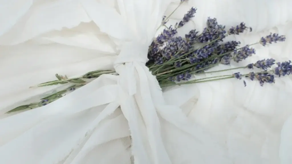 Woɖe ɖe Viber na Luxembourg brands le 2025? Nyateƒe ɖe eɖokuiɖe, maɖo tips, message scripts, shipping hacks kple MaTitie VPN tip.