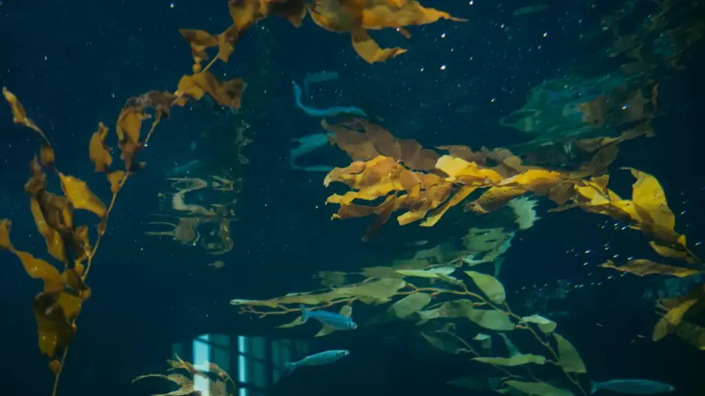 Fiɖeɖeŋuɖo le taobao kple Ukraine brands ɖe, ɖe sia ɖe woana unbox kple review PR packages; nudzrawo, VPN, kasa, kple contact tips.