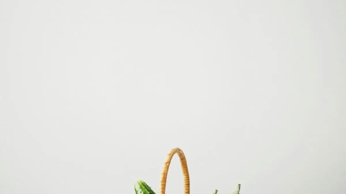 Marketeɖeɖe: Ŋutsu Ireland Etsy creators wòɖe online classes?