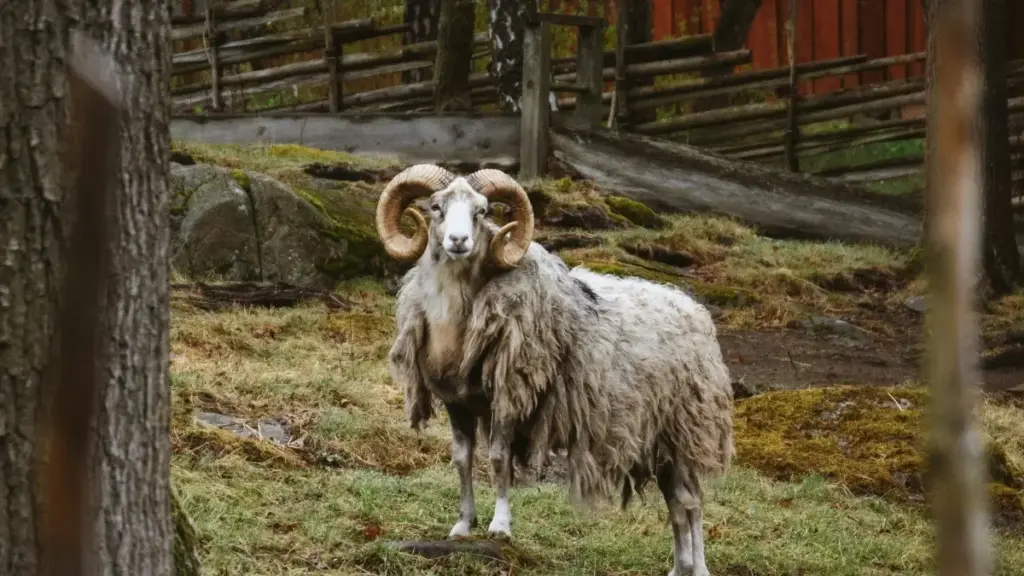 Guide pratique pour marketeurs au Togo: comment identifier et envoyer des PR packages aux créateurs Takatak au Kazakhstan, avec tactiques locales, checklist et risques.