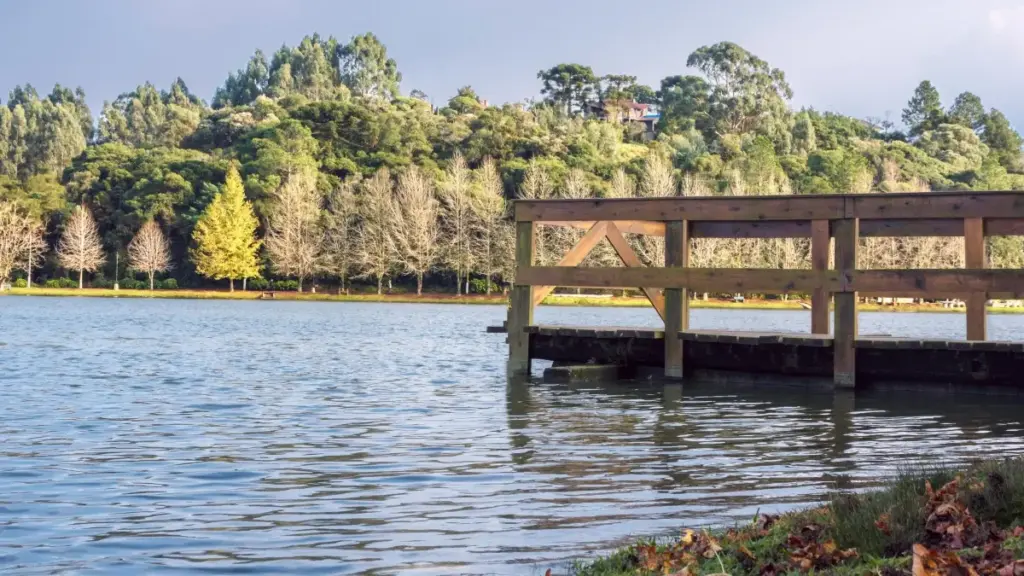 "Guidɛ pratikɔ mefɔ: kple tɔxɛbea alo strateji bɔ YouTube doɖi Costa Rica brands le styling challenges dzi."