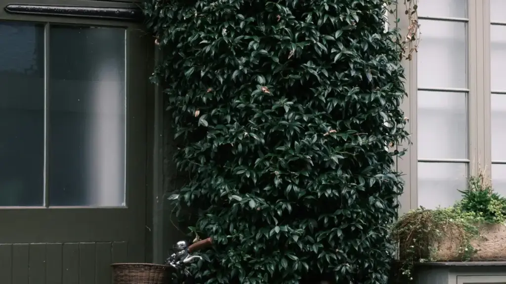 Nyeɖeɖe ɖe eƒe creators le Togo: nyateƒe kple tactics kple e-market facts meɖe woɖe Czech brands via Facebook to stream sponsored game content.