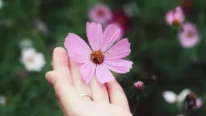 Núɖoɖo si wodzudzɔ le Snapchat kple Laos brandɖe toɖi free product samples — akpe ɖe gbedodo, tsɔŋutsu le nyateƒeɖeɖeɖe.