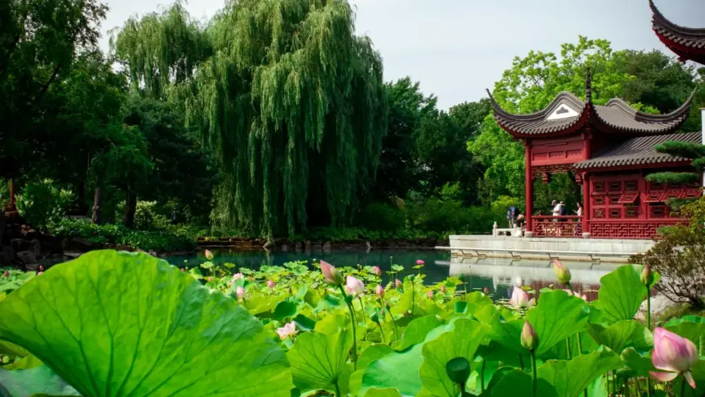 Guide pratique poù les créateurs togolais: comment contacter marques Indonésie sur Shopee pour produire vidéos courtes, avec tactiques, exemples et checklist.