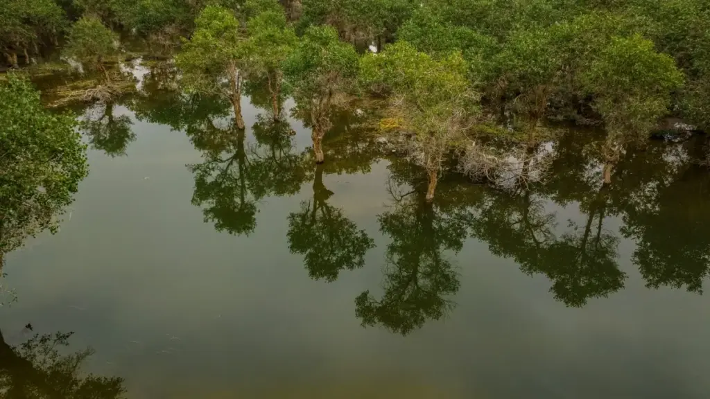 Nuɖoɖoɖoɖo ŋu kple adzɔgbe le Togo tso dɔwɔlaa meɖe be wòakpɔ Thailand Twitch creators eye wòɖe long-term ƒe partnership.
