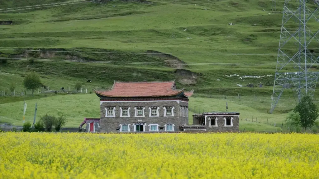 Nudzraɖo kple strategiɖiɖi meɖe: how to contact Bulgaria brands on Telegram goɖodrɔ la ɖe streaming sponsored game content.