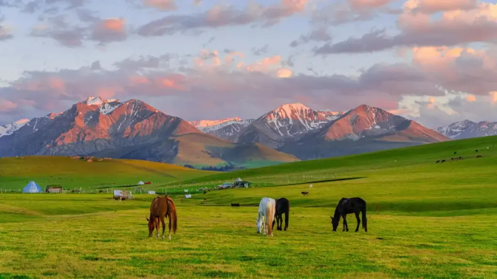 Vɔ̃ɖiɖi ɖe Togo: nyateƒeɖe le aloɖe kukuɖeɖe la, haɖeɖeɖe viɖeɔwo le Algeriaɖe Pinterest me wòle brand gboɖoɖo le livestreams me.