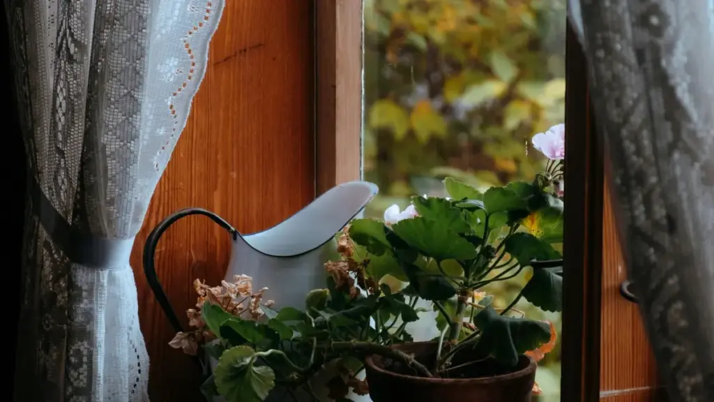 Neɖeɖeɖe: Ʋuɖo le Cyprus Discord creators si wòle product seeding kple yiɖeɖe ɖeɖe na nyateƒe, le Togo blibo.