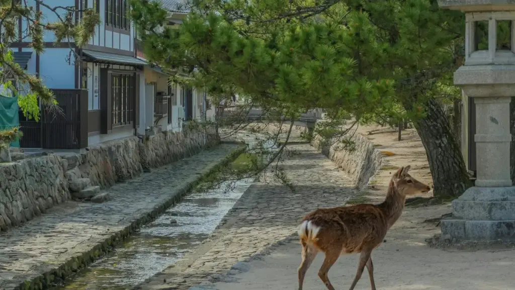 Dziɖuɖoɖo nyateƒe le Estoniadɔla Instagram creators kple nuɖuɖuɖu me; strategi, tools, kple risk management woƒe.