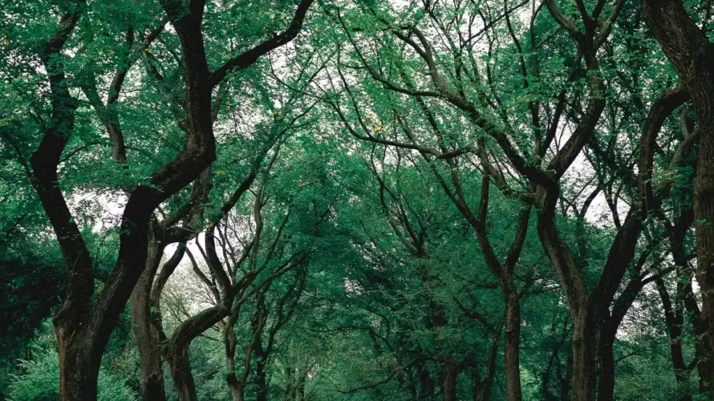 Stratégies pratiques pou reach marques suisses sur Zalo pou kolabore dan gameplay challenges; tips lokal, kasu naoo/Kingfluencers, ak aksyon imedya.