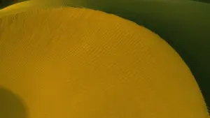 Nudzɔdzɔ eye practical guia le kplɔ Tanzania brands le Reddit,ɖeɖe gake wòɖo localized content gake target markets le 2026.